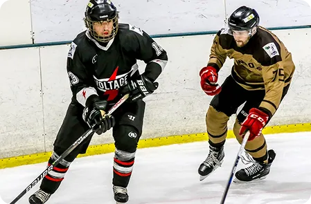 Stick and Puck