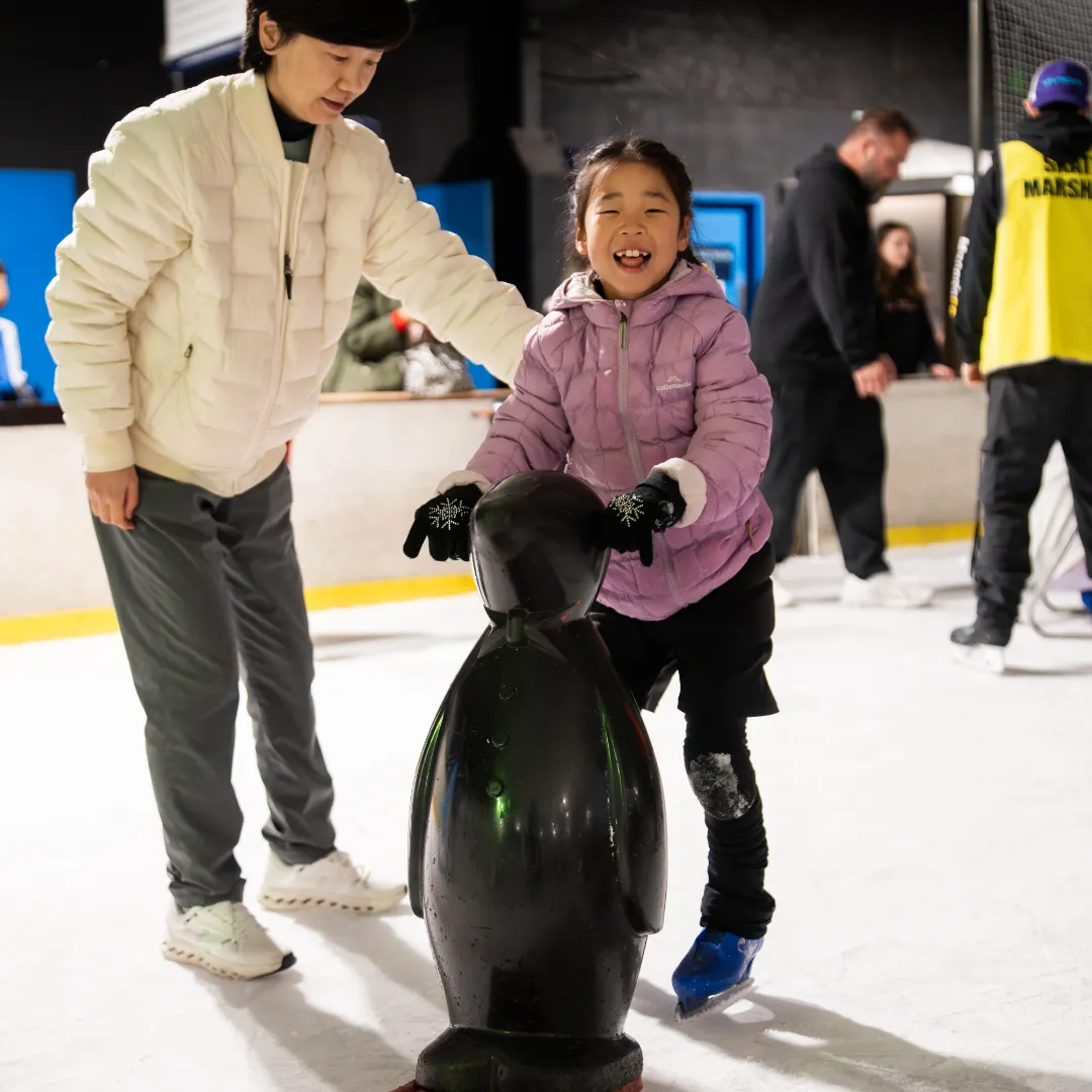 Ice Arena gallery image 4