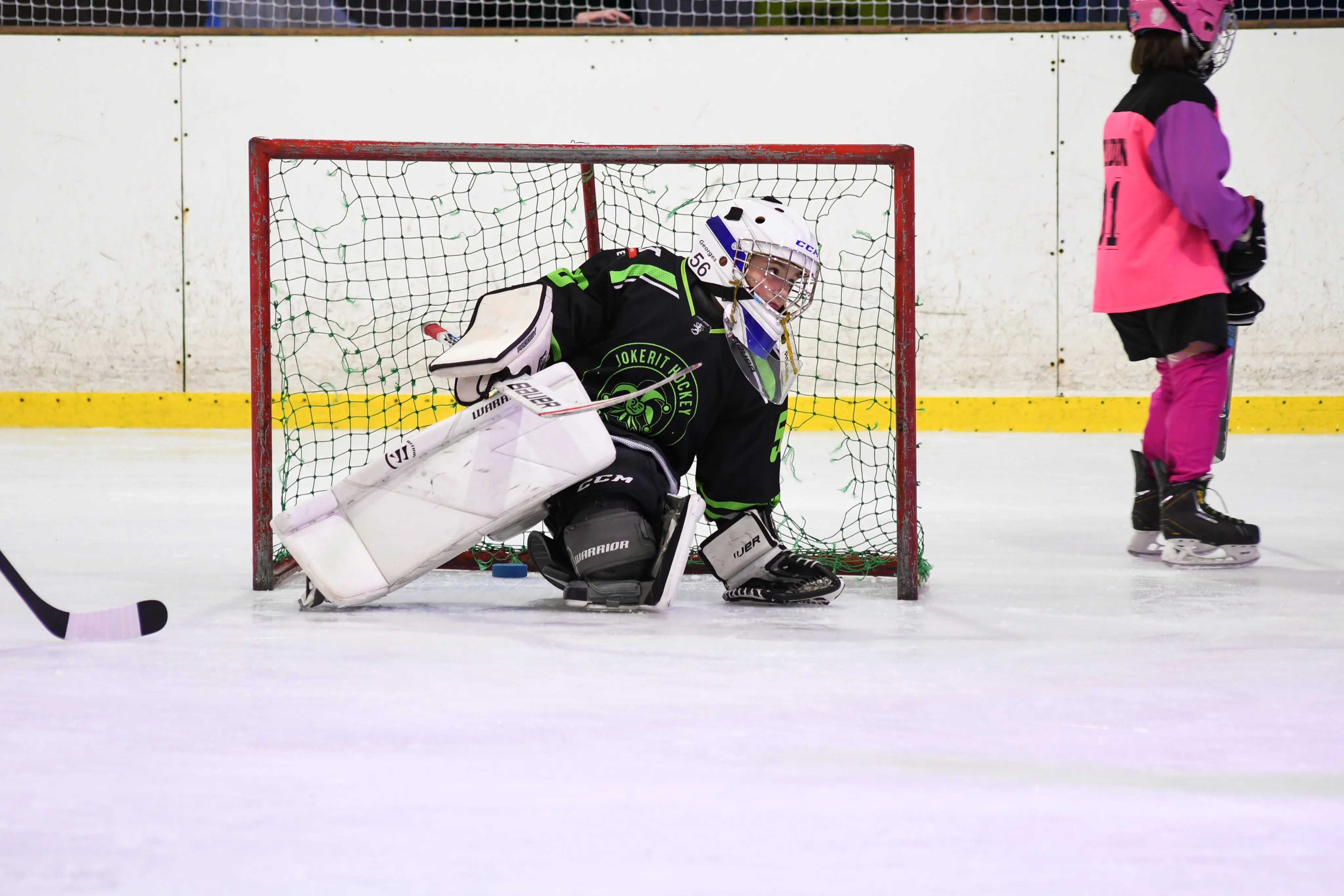 Ice Arena gallery image 7